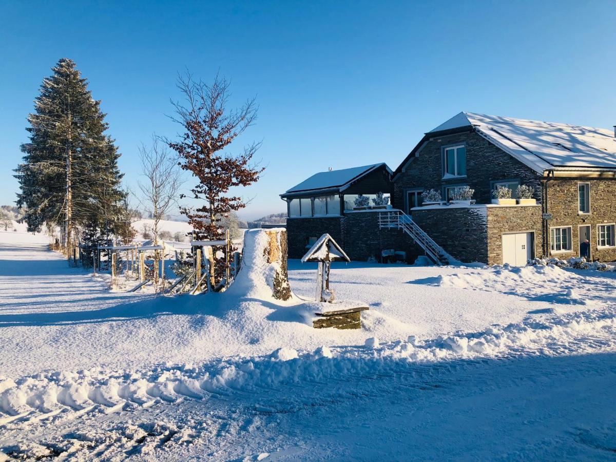B&B Pegasus II - Chambre Familiale De Luxe Avec Sauna Privatif Vielsalm Exterior photo
